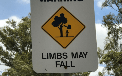 Costs balloon in surge of NDIS services