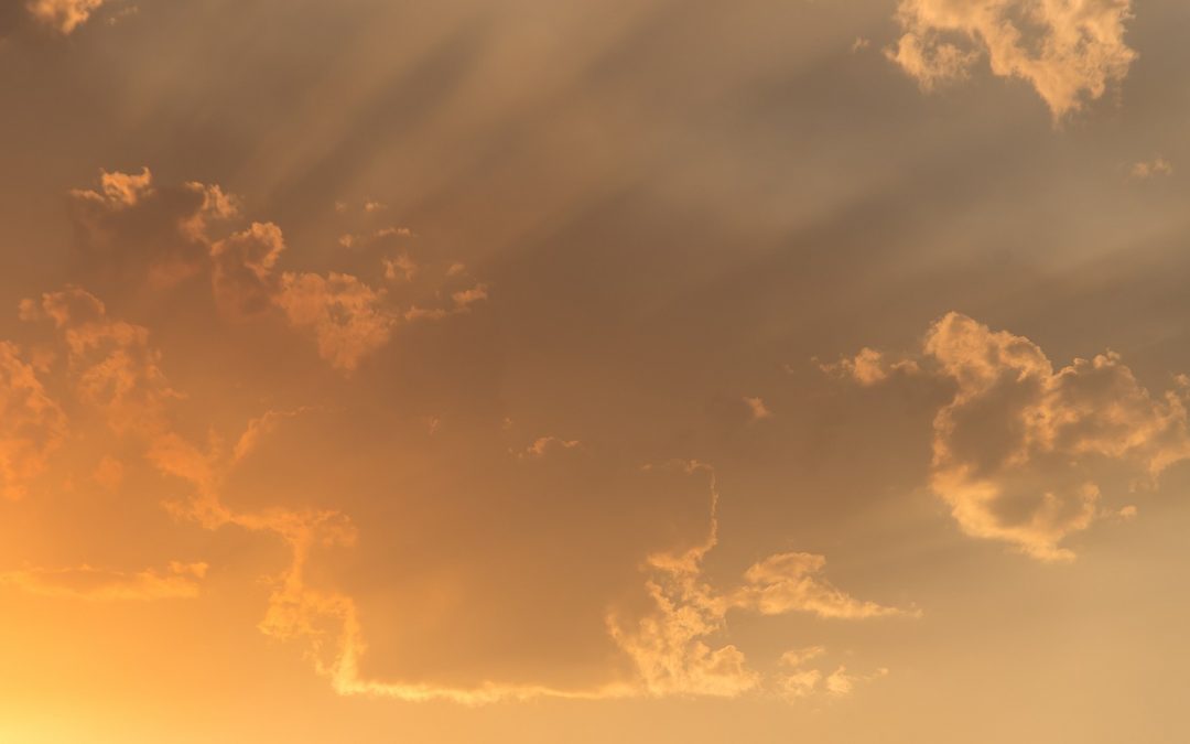 Bushfire disasters and mental health – Article by Melanie Cantwell – Mental Health Australia