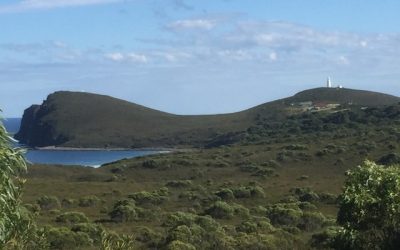 A letter from a Director of TAS