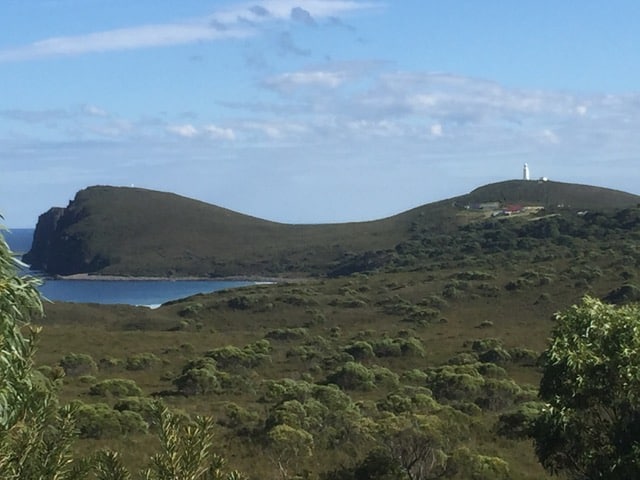 A letter from a Director of TAS